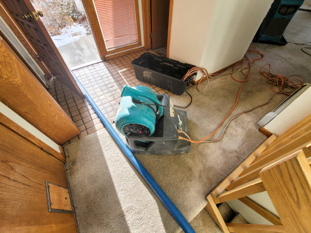Best Flood restoration services  in Vley, AL