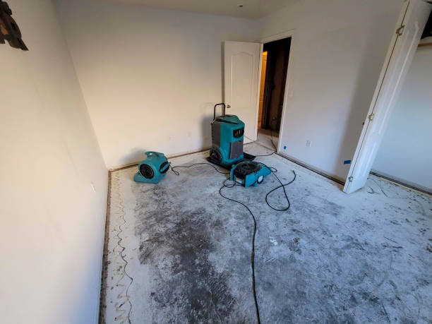Best Local water damage restoration  in Vley, AL