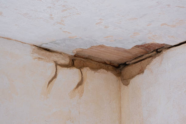 Best Flooded house restoration  in Vley, AL