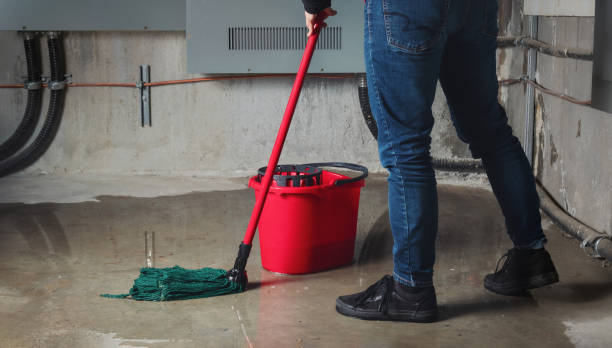 Best Professional water damage repair  in Vley, AL