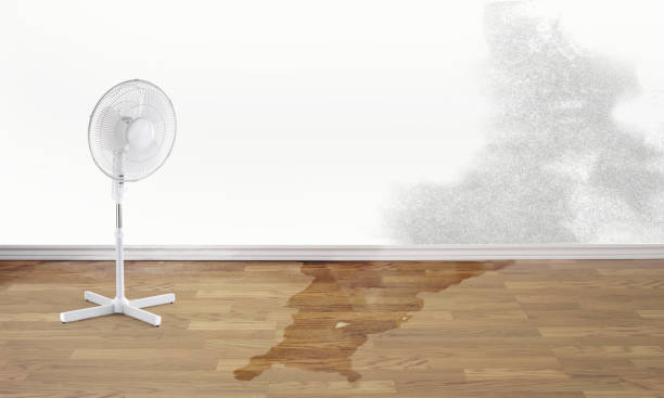 Best Emergency water damage restoration  in Vley, AL