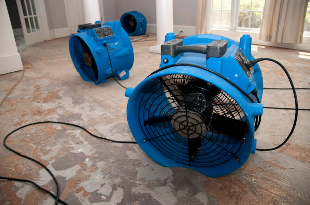 Best Carpet water damage restoration  in Vley, AL
